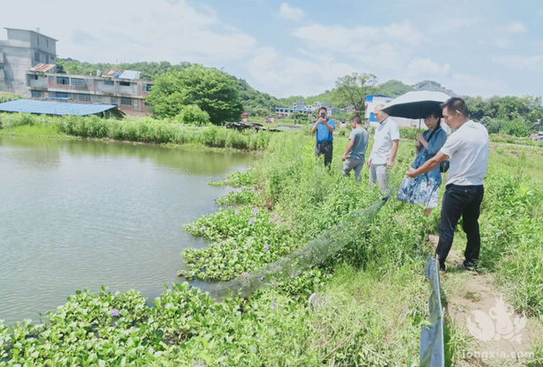 江华老县村：小龙虾陆续上市带富村民