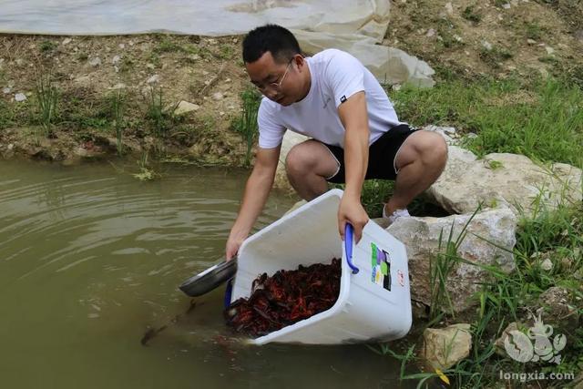 荔波水丰村：火红小龙虾托起致富梦