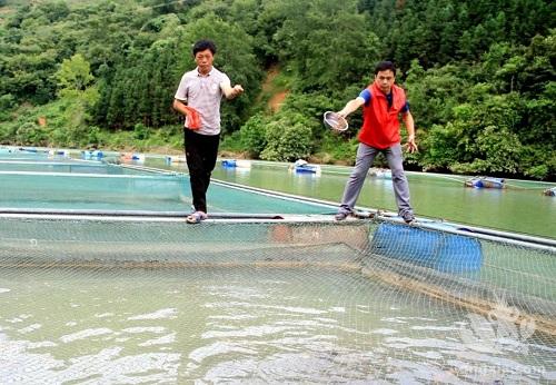 广西河池市东兰县巴畴乡纳浪村：生态鱼虾养殖有奔头