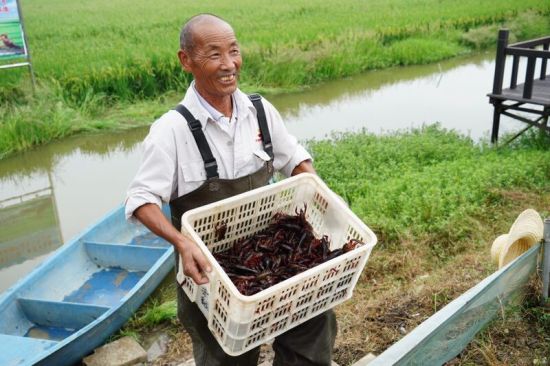 “丰收大中国”融媒体大直播活动在湖北潜江启动