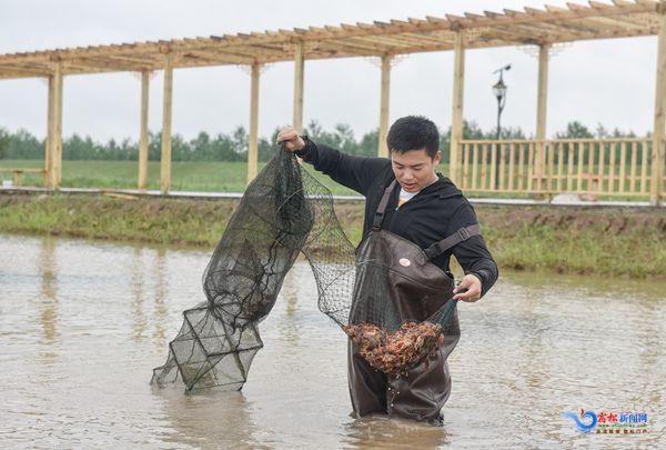 洲头：深水龙虾养殖托起村民致富梦