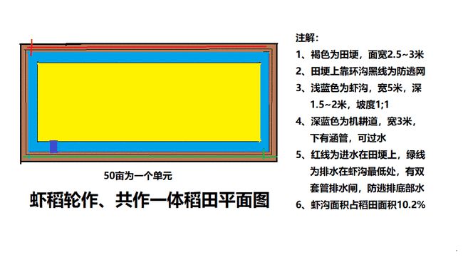 小龙虾养殖的  “稻田结构改造技术”