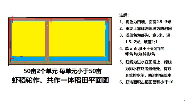 小龙虾养殖的  “稻田结构改造技术”