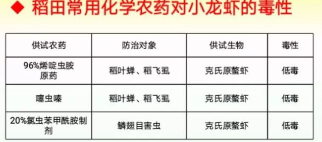 备战龙虾养殖2022！“五点”用药策略、“九项”实际问题