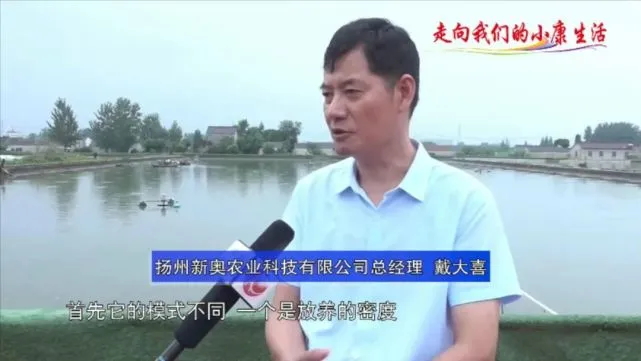 江苏高邮龙虬镇罗氏沼虾养殖掀起绿色革命 留住清清碧水 鼓起虾农腰包