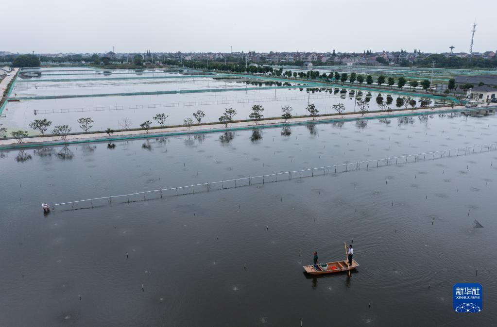 浙江湖州：推进特色生态水产养殖 助力乡村共同富裕