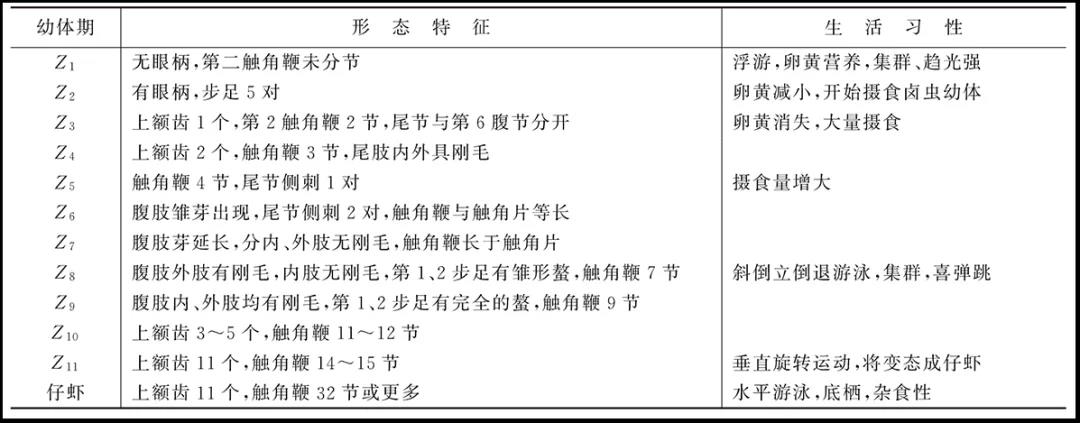 为您详解罗氏沼虾的生物学特征以及养殖注意事项