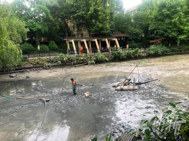 鲤鱼、鲫鱼、青虾……杭州河道开始清淤，“河底世界”大揭秘！