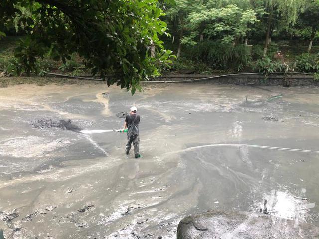 鲤鱼、鲫鱼、青虾……杭州河道开始清淤，“河底世界”大揭秘！