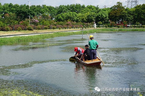 抗击台风“烟花”，苏州基地在行动