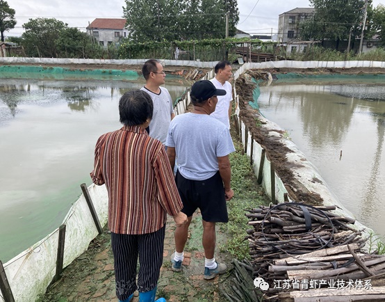 江苏省青虾体系昆山推广示范基地积极应对台风“烟花”