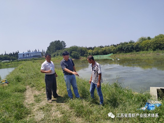 江苏省青虾体系丹阳基地积极应对台风抓好生产指导
