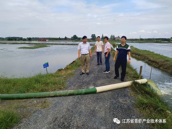 江苏省青虾体系丹阳基地积极应对台风抓好生产指导