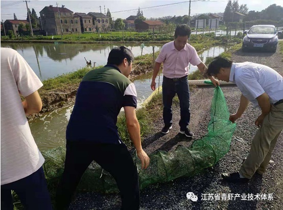 江苏省青虾体系丹阳基地积极应对台风抓好生产指导