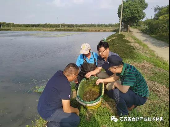 加强对接，促进稳产保供――江苏疫情控制后青虾体系岗位专家赶赴丹阳技术指导