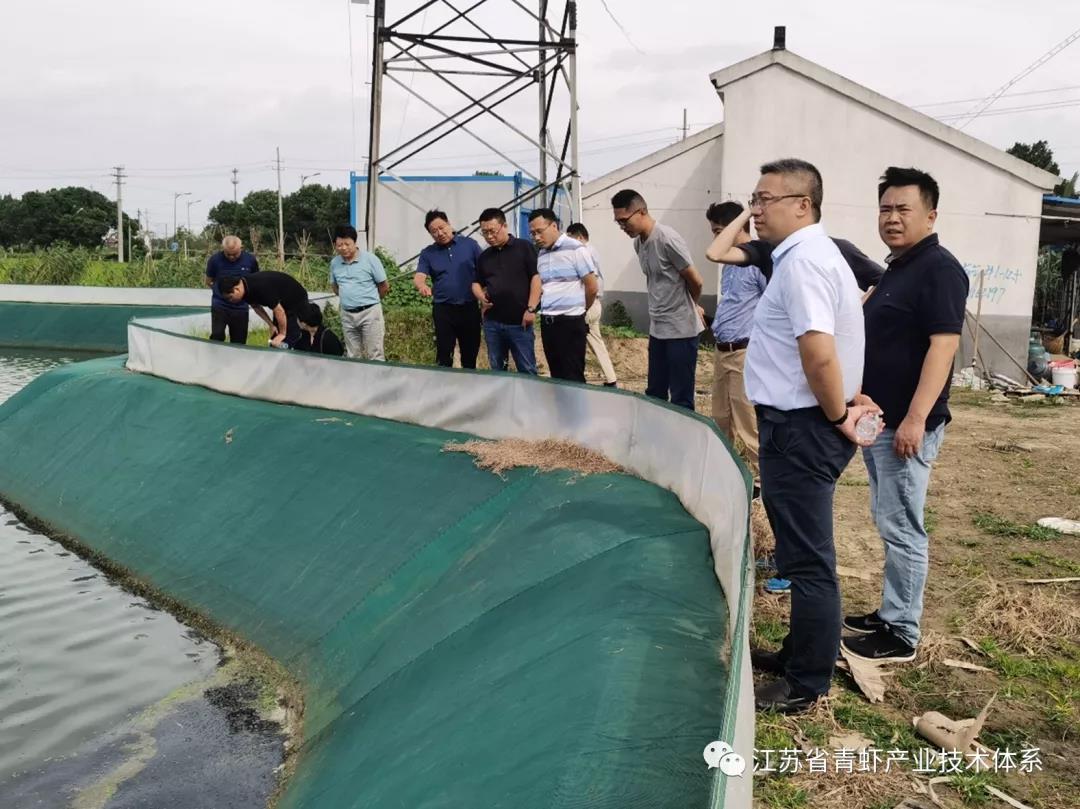 小青虾撬动大产业――江苏省青虾体系浦口基地组织开展系列交流学习活动