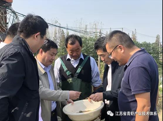 江苏省青虾体系昆山推广示范基地举办青虾健康养殖专题培训班