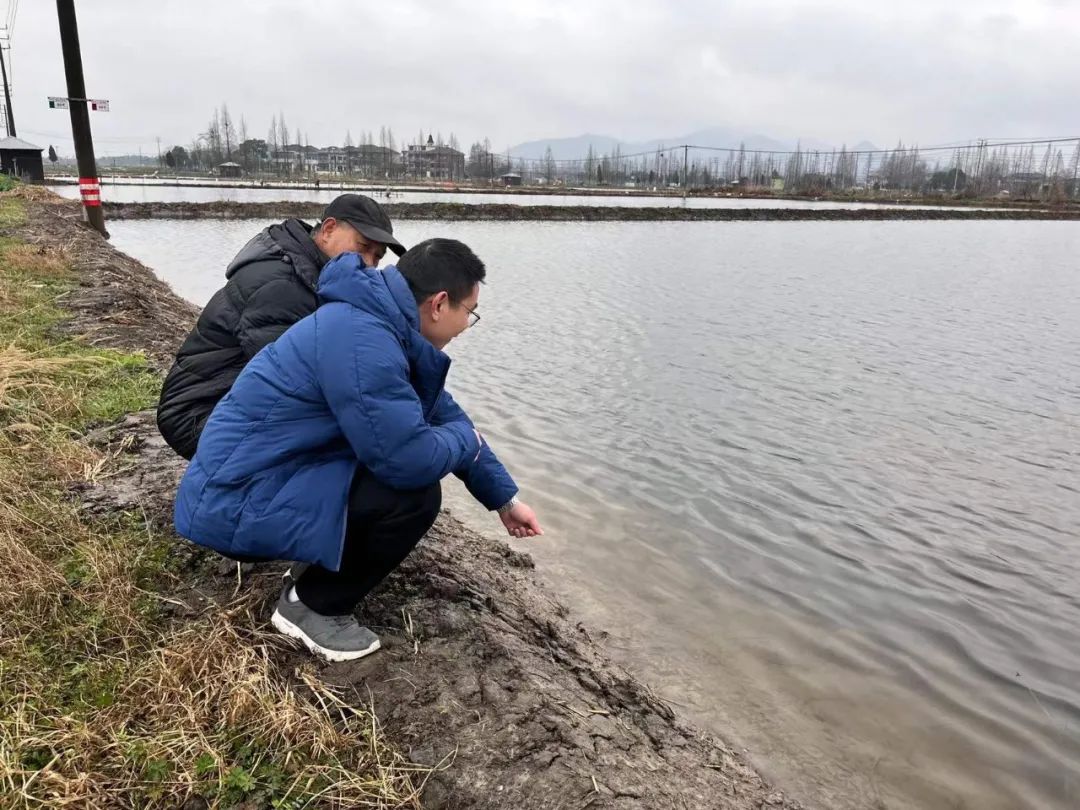 “水精灵”青虾托起助残共富梦！