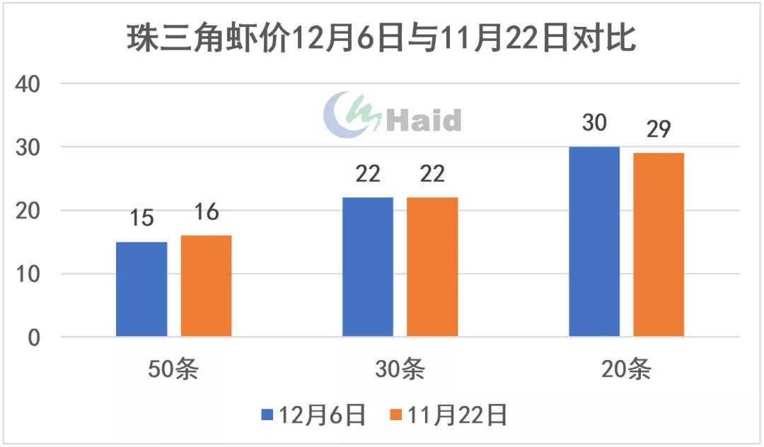 虾价观察 | 注意！转肝不顺，弧菌爆表，冬棚虾急需你加强呵护！