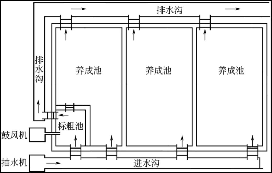 警惕！放苗前的这些准备工作您做了吗?做好了事半功倍，没做损失惨重！