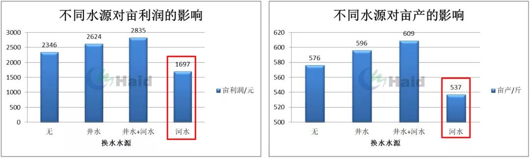 时隔3年扭亏为盈，外塘白虾养殖今年打了个“翻身仗”