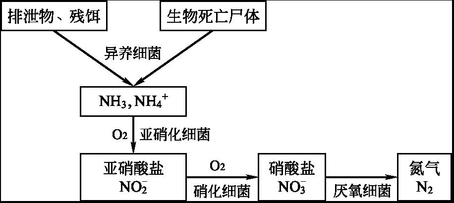 图文详解氨氮硫化氢超标应对措施汇总，建议养殖户收藏保存！