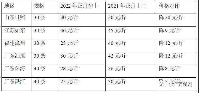 揪心！对虾持续掉价，比去年同期最高便宜20块！元宵虾价还能反弹吗？