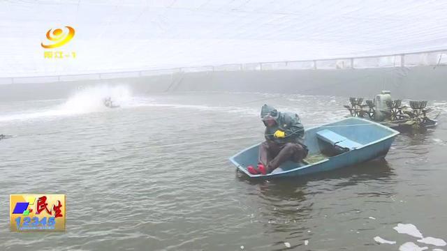 广东省阳江市阳东大沟水产养殖户御寒招数让人开眼界