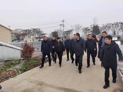 上海海洋大学领导到六安市霍邱县调研