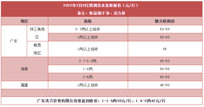 全线上涨！最高涨幅13元/斤！澳龙月内有望突破60元/斤？