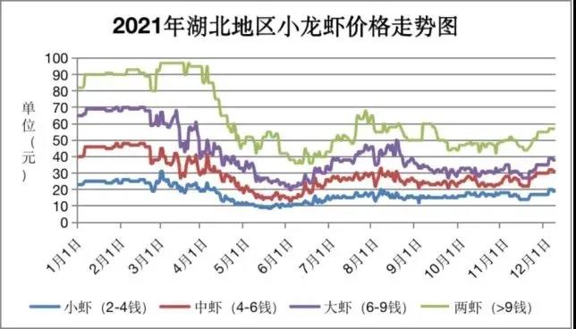 养的多不一定赚的多？从求规模到重品质，小龙虾养殖业迈入高质发展阶段