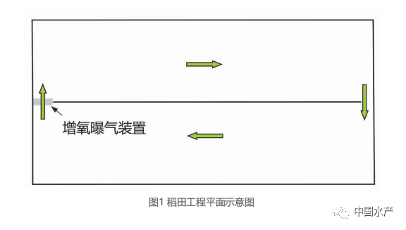 稻田等浅水养殖环境高效增氧技术探索实践