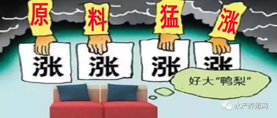 饲料厂持续涨价，是要将养殖户逼上梁山？