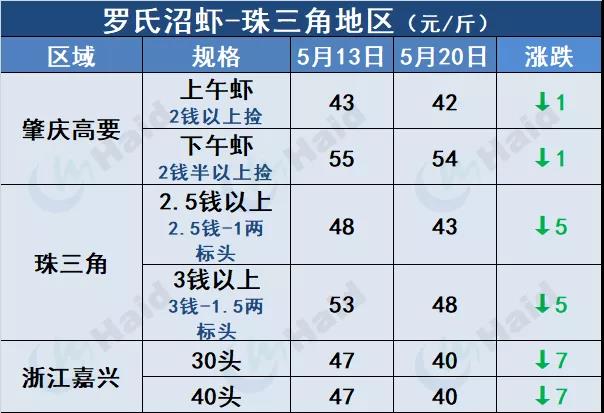 虾价行情 | 暴涨8元/斤！广西北海需求本周大增！