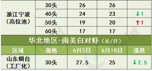 虾价行情 | 止跌回涨！端午节会让虾价来一个猛涨吗？