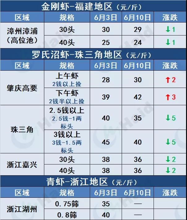 虾价行情 | 止跌回涨！端午节会让虾价来一个猛涨吗？