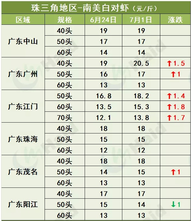 虾价行情 | 上涨啦！珠三角普遍回涨，其他多地虾价也开始上涨了！