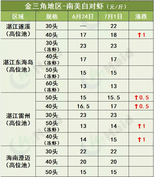 虾价行情 | 上涨啦！珠三角普遍回涨，其他多地虾价也开始上涨了！