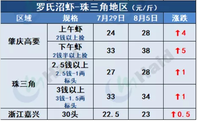 虾价行情 | 市场缺虾！华南多地价格继续上涨！8月5日全国最新塘头价