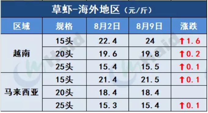 虾价行情 | 市场缺大虾！多地虾价仍在上涨！8月12日全国最新塘头价