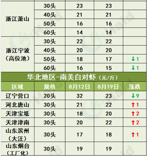 虾价行情 | 消费逐步恢复，大虾上涨最明显！8月19日全国最新塘头价