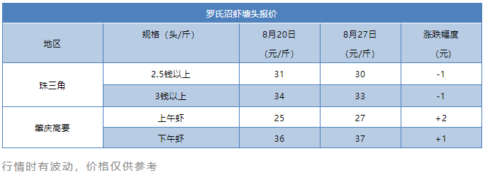 最高上涨2.5元/斤！虾价一路飘红，后市仍将继续上涨？