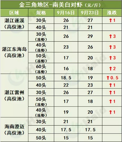 虾价行情 | 下周国庆！虾价能继续冲一波吗？