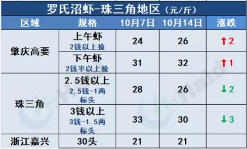 虾价行情 | 小棚虾“大军”开始上市！台风过后，华南虾价情况如何？