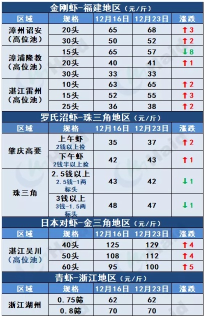 虾价行情 | 大虾价更好！元旦临近，多地虾价涨涨涨！