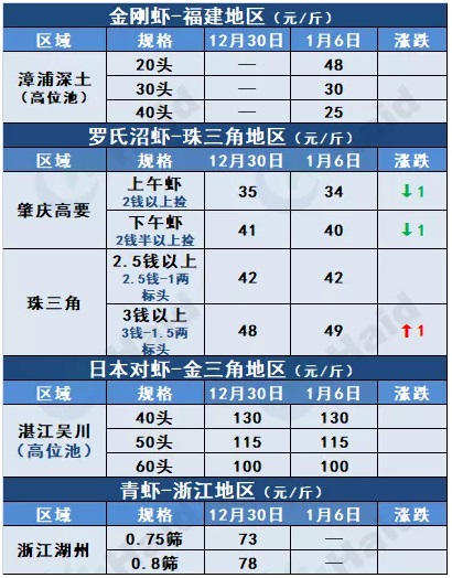 虾价行情 | 越往后，大虾越值钱！部分养户已经开始等价！