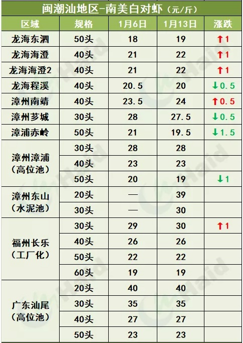 虾价行情 | 最高涨20元/斤！花虾价格暴涨，白虾价格也会涨吗？