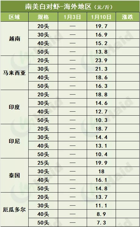 虾价行情 | 最高涨20元/斤！花虾价格暴涨，白虾价格也会涨吗？