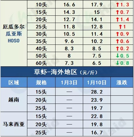 虾价行情 | 最高涨20元/斤！花虾价格暴涨，白虾价格也会涨吗？