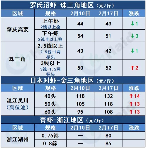 虾价行情 | 暴涨14元/斤！花虾元宵再猛涨，白虾行情怎么样？